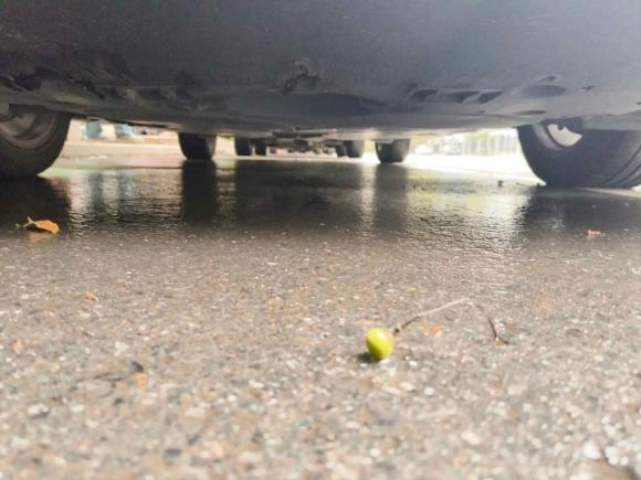 [金华·浙G] 二手丰田亚洲龙2019款 双擎 2.5L 豪华版 国V