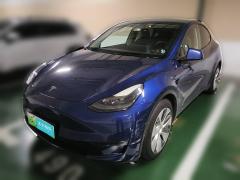 [上海·沪A] 特斯拉Model Y2021款 长续航全轮驱动版