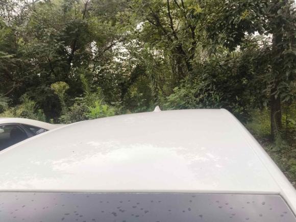 [杭州·浙D] 二手雪佛兰科沃兹2016款 1.5L 自动欣享版