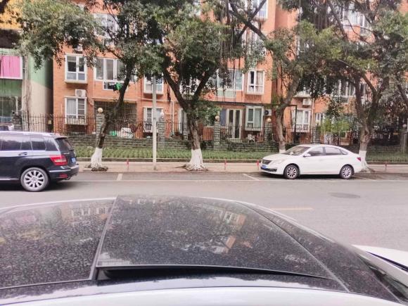 [成都·川A] 二手雪铁龙雪铁龙C62017款 改款 350THP 豪华型