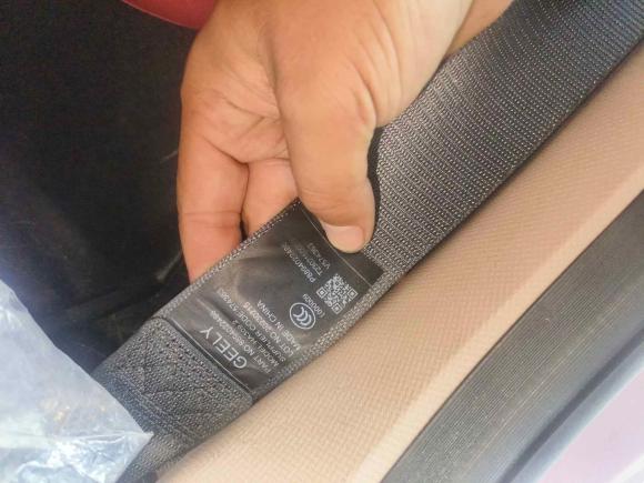 [广州·粤A] 二手吉利汽车熊猫2023款 熊猫mini 200km 耐力熊