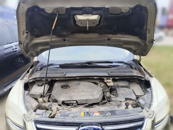 [芜湖·皖B] 二手福特翼虎2013款 1.6L GTDi 四驱精英型