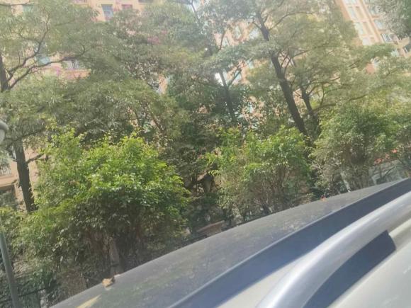 [深圳·粤A] 二手大众途观L2020款 330TSI 自动两驱全景舒适版 国VI