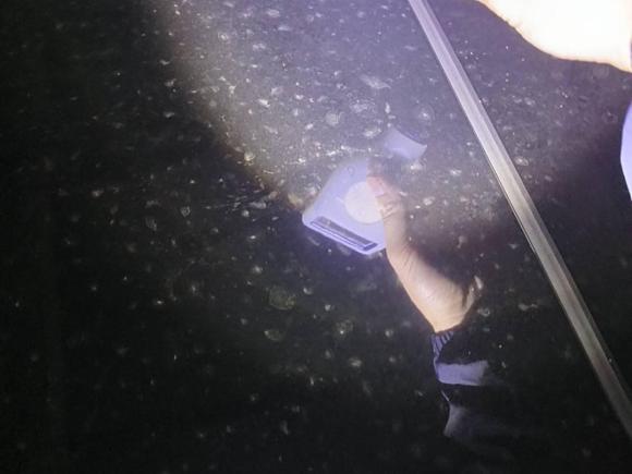 [杭州·浙A] 二手本田雅阁2021款 260TURBO 豪华·星空限量版