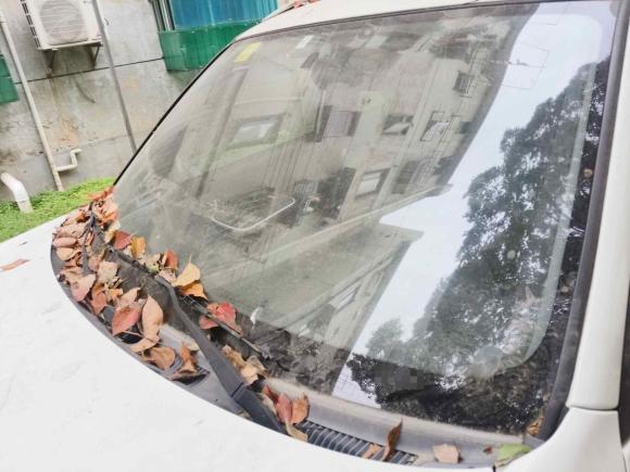 [上海·浙D] 二手奇瑞瑞虎32016款 1.6L 手动风尚版