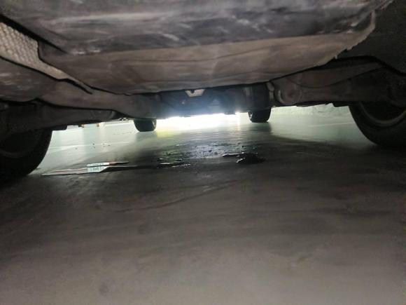 [上海·沪C] 二手宝马宝马7系2009款 730Li领先型