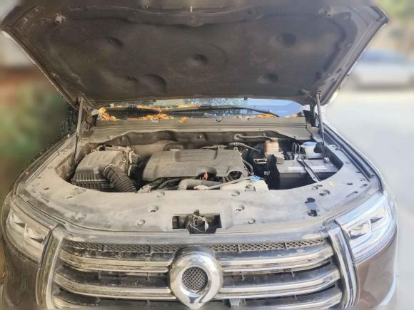 [广州·粤A] 二手长城炮2019款 2.0T自动汽油四驱尊享版GW4C20B