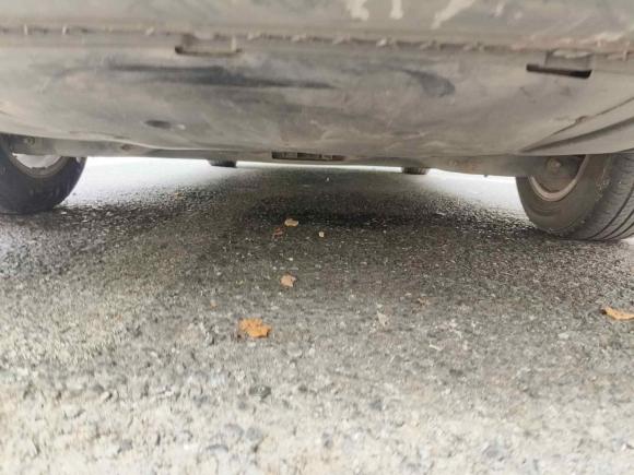 [杭州·浙A] 二手大众朗逸纯电2019款 优享版