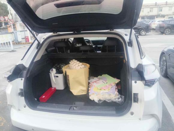 [宁波·浙B] 二手哪吒汽车哪吒U2020款 520 U行