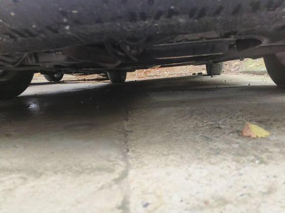 [合肥·皖A] 二手铃木雨燕2016款 1.5L 自动时尚型酷玩版