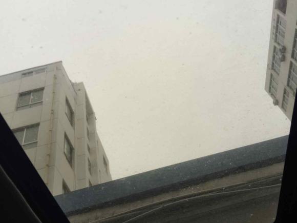 [温州·浙C] 二手本田雅阁2018款 260TURBO 精英版 国V