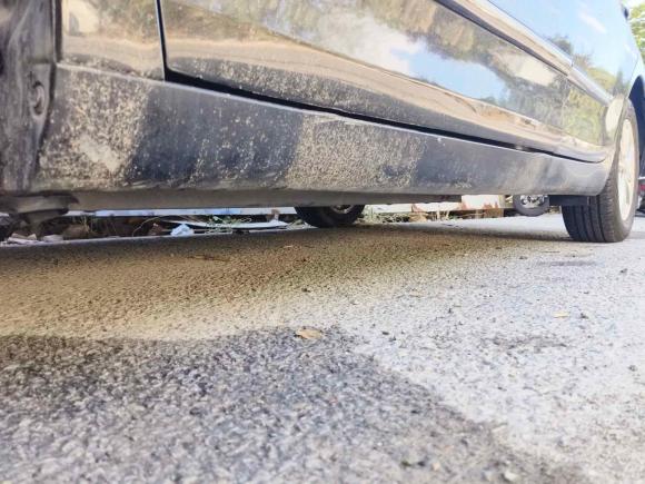 [上海·沪G] 二手丰田凯美瑞2009款 200G 豪华版