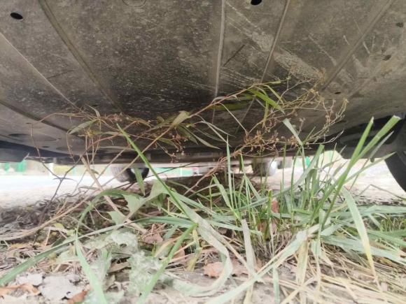 [上海·浙C] 二手奔腾奔腾NAT2022款 乐享出行版 100kW 425km