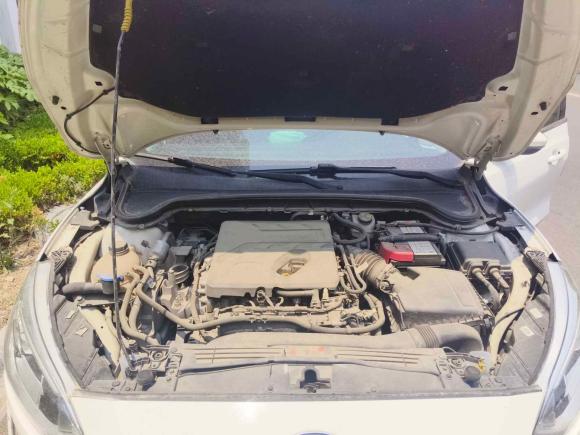 [青岛·鲁B] 二手福特福克斯2019款 两厢 EcoBoost 180 自动锋潮型