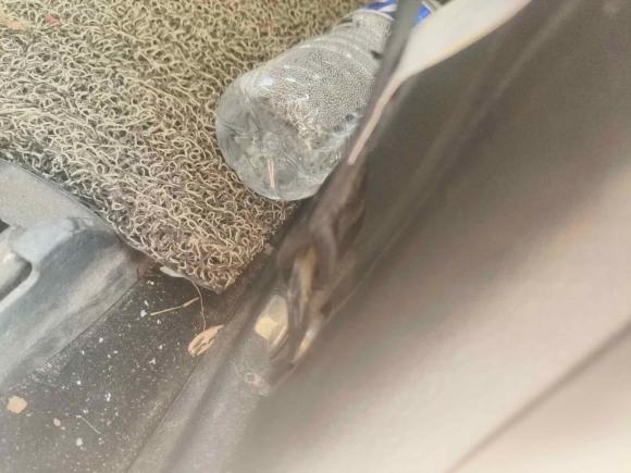 [深圳·粤B] 二手五十铃瑞迈2020款 2.8T经典四驱柴油国VI舒享型加长版JE493ZLQ6E