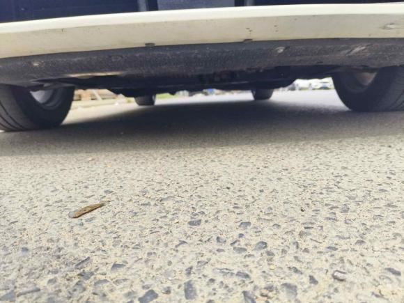 [武汉·豫S] 二手福特蒙迪欧2022款 EcoBoost 245 豪华型