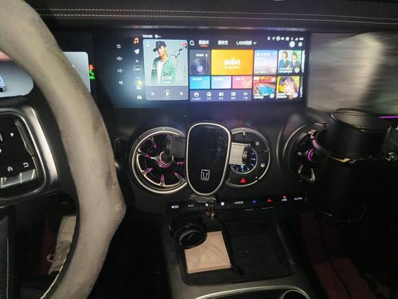 [合肥·皖A] 二手坦克坦克3002024款 2.0T 穿越者