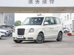 LEVC LX