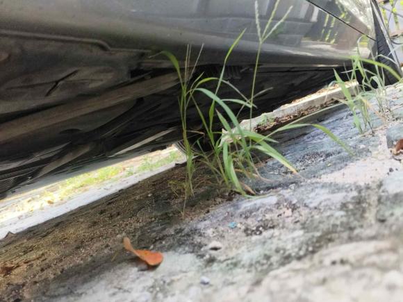 [上海·沪C] 二手宝马宝马2系旅行车2014款 220i 豪华设计套装