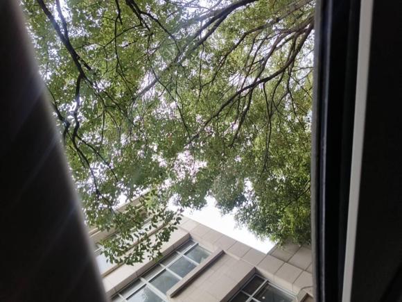 [上海·沪L] 二手本田冠道2017款 370TURBO 四驱至尊版