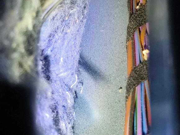 [深圳·粤B] 二手大众速腾2015款 1.6L 自动舒适型