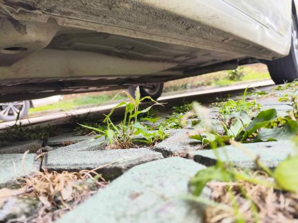 [嘉兴·浙F] 二手别克英朗2018款 18T 自动精英型