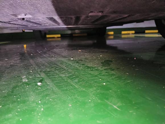 [杭州·浙A] 二手比亚迪海鸥2025款 305km 活力版