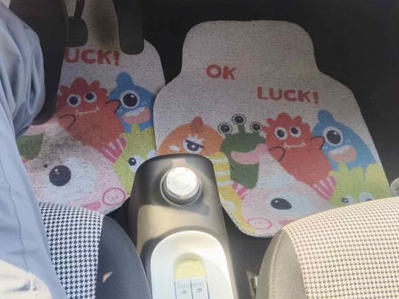 [青岛·鲁B] 二手五菱汽车宏光MINIEV2024款 第三代 215km 青春版