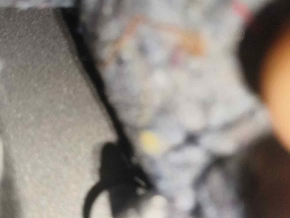 [成都·川A] 二手斯柯达速派2016款 TSI330 DSG智行版