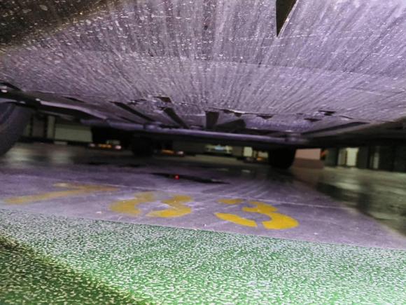 [宁波·浙B] 二手比亚迪海豚2025款 420km 活力版