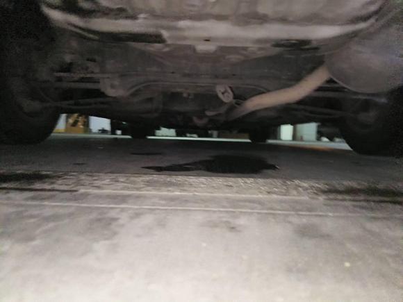 [温州·浙C] 二手本田雅阁2008款 2.0L EX