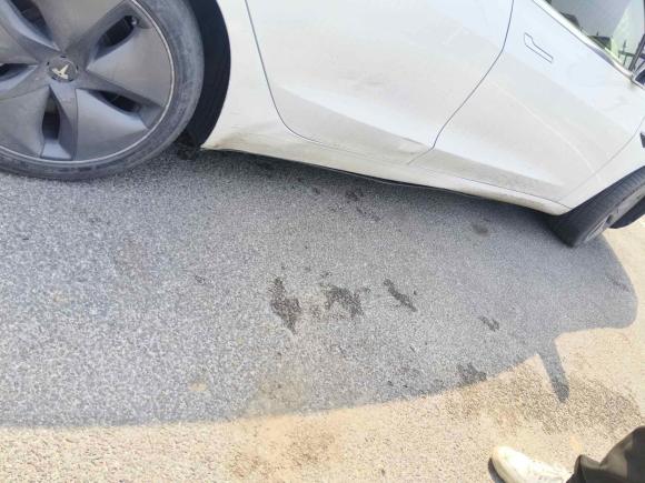 [青岛·鲁F] 二手特斯拉Model 32019款 标准续航后驱升级版