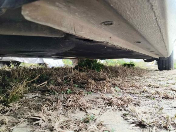 [青岛·鲁B] 二手福特福睿斯2015款 1.5L 自动舒适型