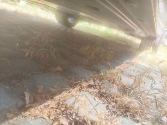 [上海·沪C] 二手大众帕萨特2023款 330TSI 星空尊贵版