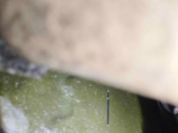 [宁波·浙B] 二手三菱风迪思2013款 1.8L 自动豪华型 国IV