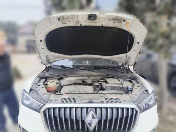 [嘉兴·浙F] 二手宝沃宝沃BX52020款 20TGDI 自动两驱先锋型