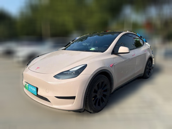 [温州·浙C] 二手特斯拉Model Y2022款 后轮驱动版