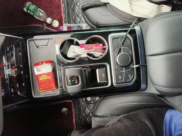 [成都·川A] 二手红旗红旗HS72021款 2.0T DCT两驱智联旗享版