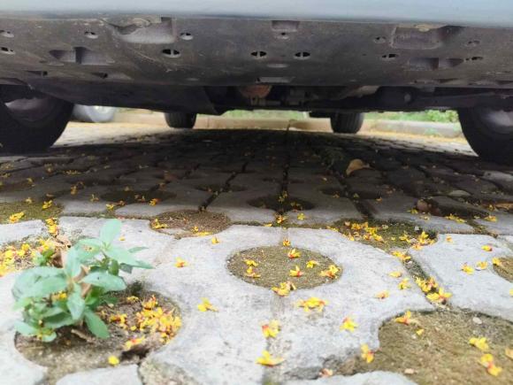 [武汉·鄂A] 二手标致标致308S2015款 1.6T 自动劲驰版