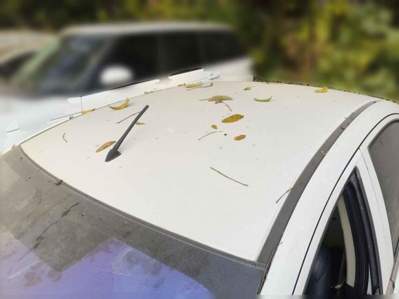 [武汉·鄂W] 二手本田锋范2015款 1.5L CVT舒适版