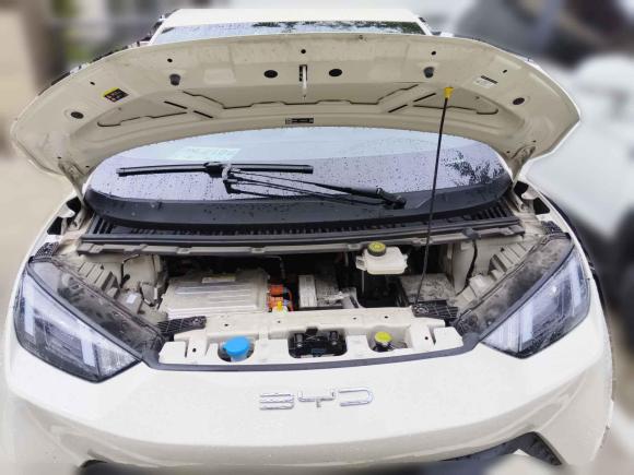 [上海·沪B] 二手比亚迪海鸥2025款 305km 活力版