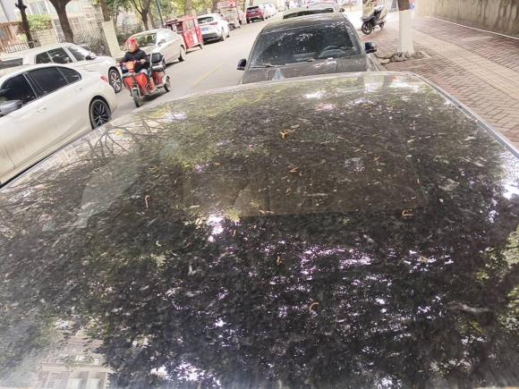 [成都·川A] 二手小鹏小鹏P52021款 600P