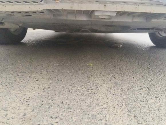 [西安·陕A] 二手丰田卡罗拉双擎E+2019款 1.8L E-CVT豪华版