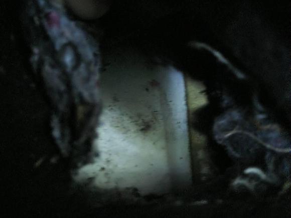 [武汉·鄂A] 二手大众途观2015款 1.8TSI 自动两驱舒适版