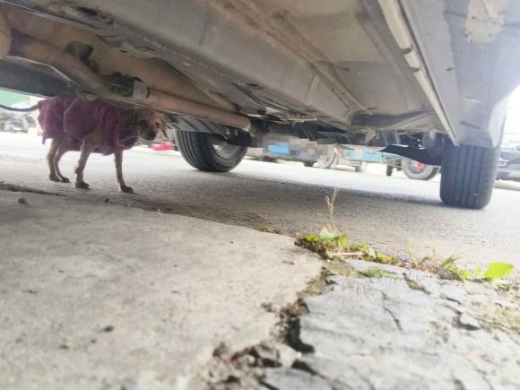 [温州·浙C] 二手三菱劲炫ASX2016款 1.6L 手动两驱先锋版