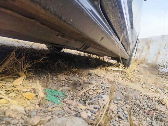 [青岛·鲁U] 二手大众帕萨特2019款 280TSI 商务版 国VI