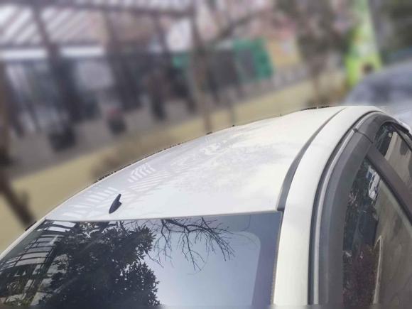 [青岛·鲁B] 二手丰田威驰2014款 1.5L 自动智臻版