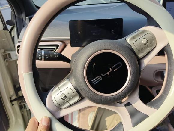 [合肥·皖A] 二手比亚迪海鸥2023款 活力版