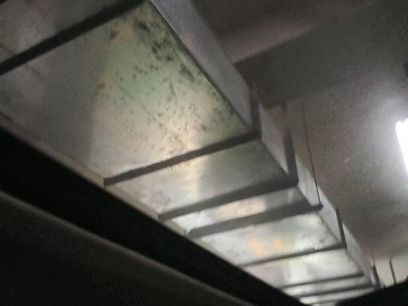 [杭州·浙A] 二手本田思铂睿2009款 2.4L TYPE-S