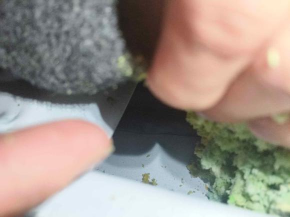 [深圳·粤B] 二手比亚迪比亚迪e52016款 300 豪华型
